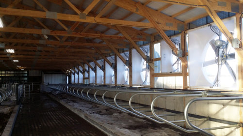 winter_electric_service_llc003006.jpg